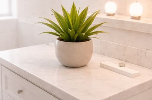Kitchen counter with green plant